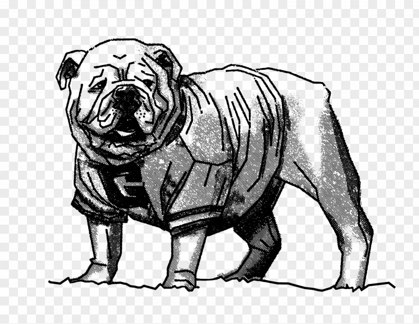 Georgia Bulldogs Bulldog UGA Arch Dog Breed University PNG