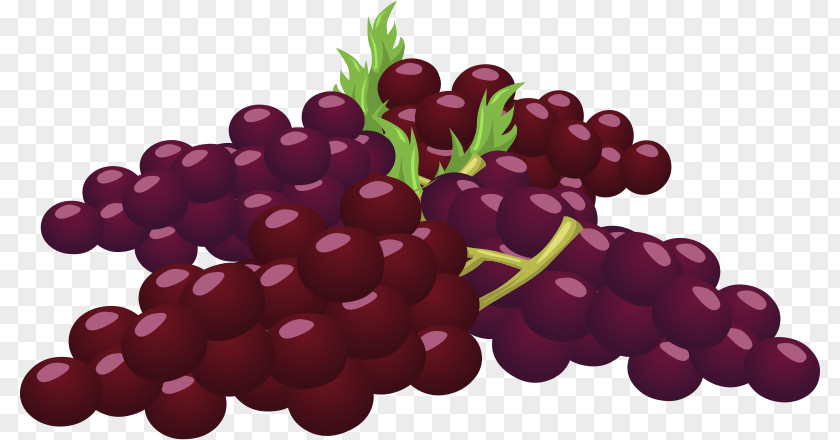 Grape Farmer Cliparts Common Vine Clip Art PNG