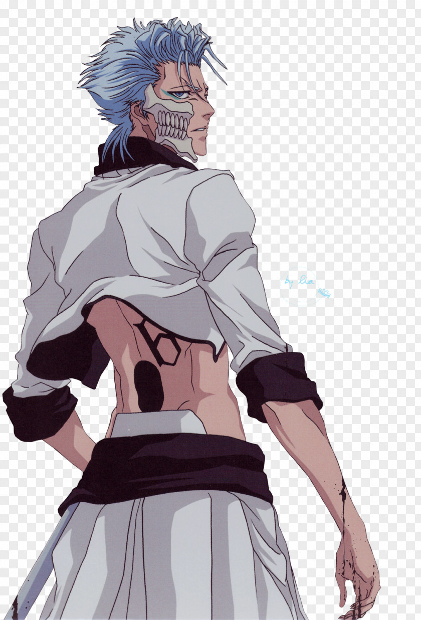 Ichigo Kurosaki Grimmjow Jaegerjaquez Sōsuke Aizen Nel Tu Nnoitra Gilga PNG