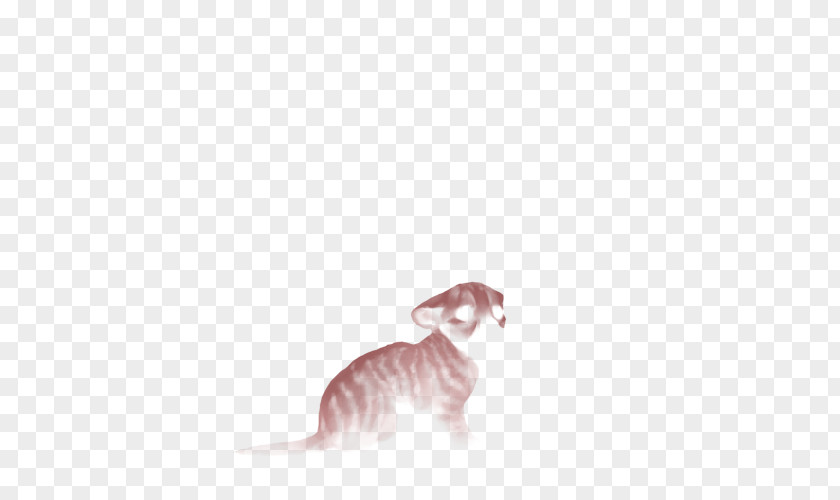 Lion Cub Whiskers Whippet Italian Greyhound Cat PNG