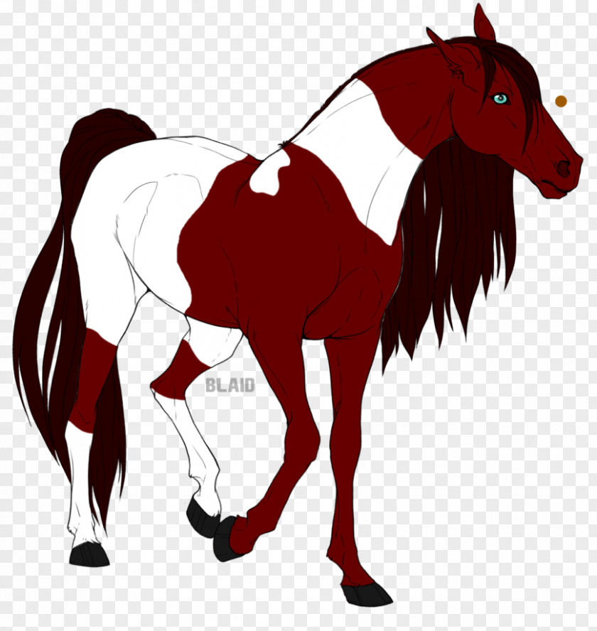Mustang Pack Animal Stallion Rein Mane PNG