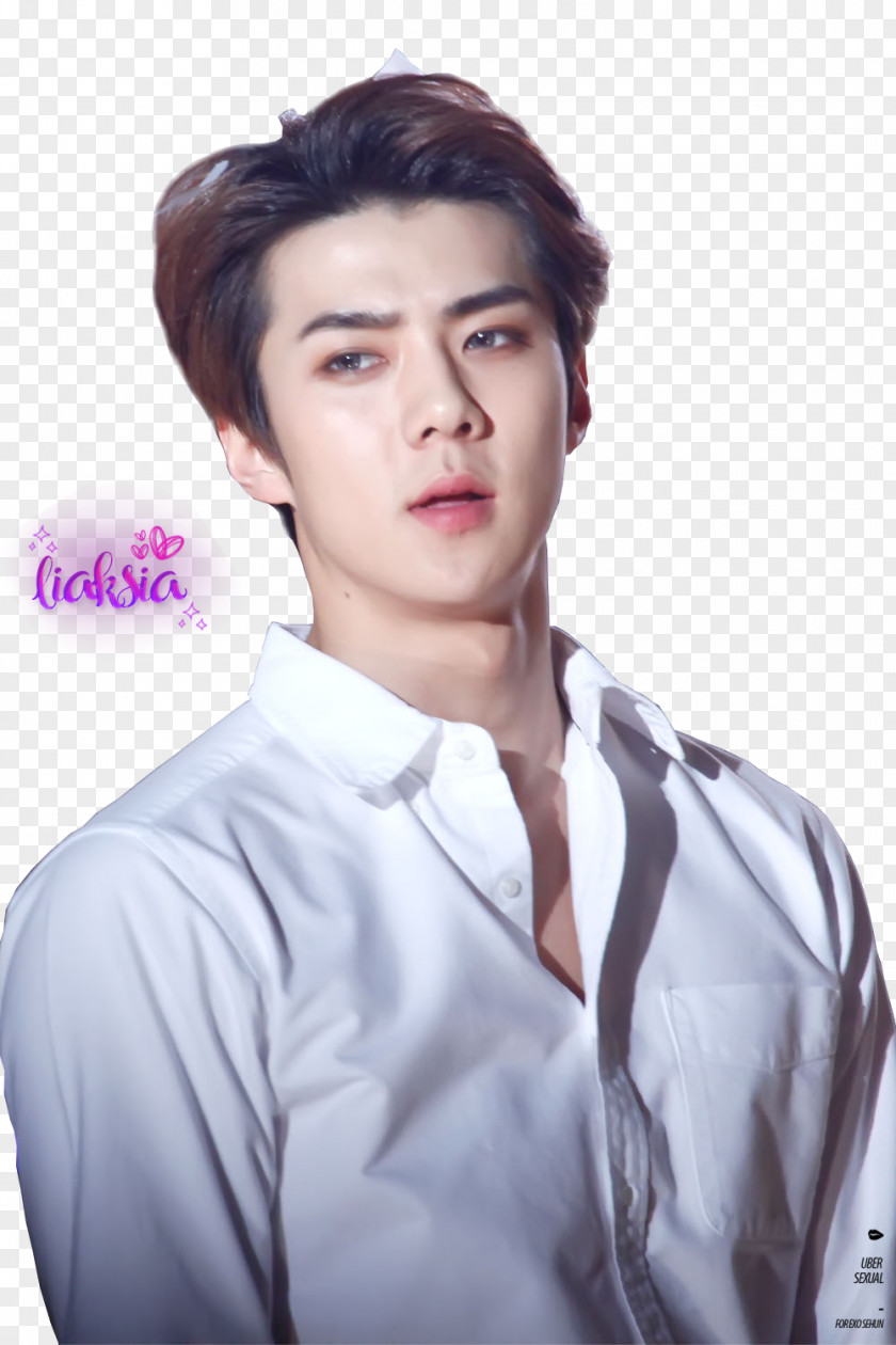 Sehun Exo Planet #2 – The Exo'luxion K-pop Allkpop PNG