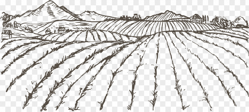 Sketch Field Agriculture Farmer Drawing PNG