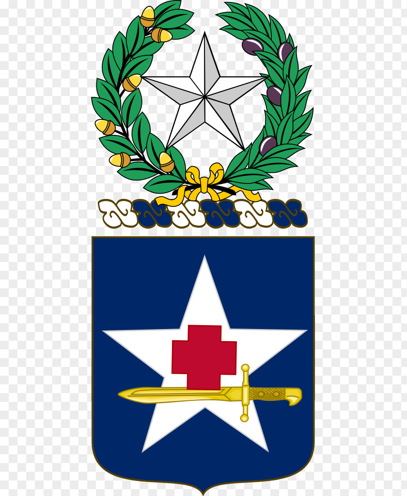 Texas Army National Guard 133rd Field Artillery Regiment PNG