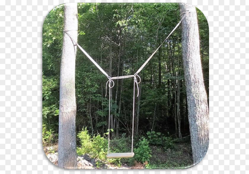 Wood Swing Tree Woodland Hammock PNG