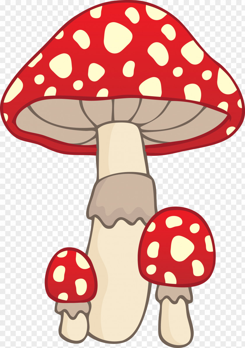 Carton Mushroom Fungus PNG