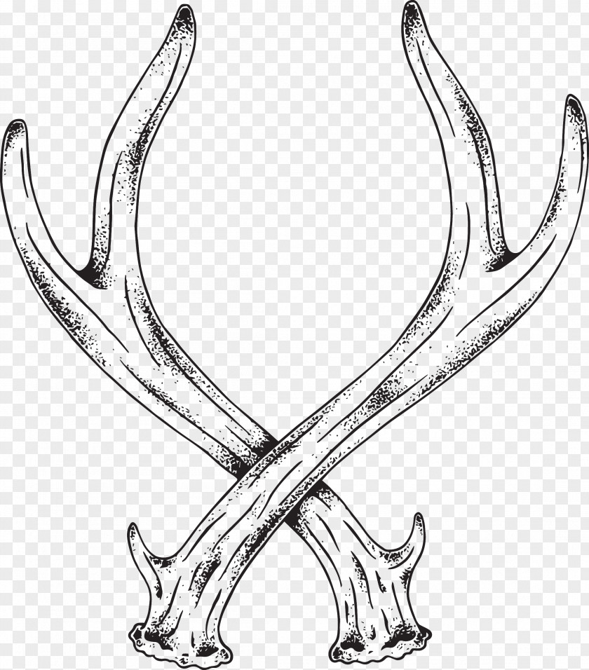 Horn Deer Antler Line Art Elk PNG