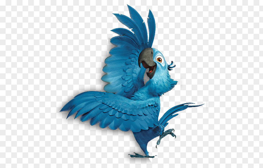 Parrot Blu Rio Spixs Macaw Clip Art PNG