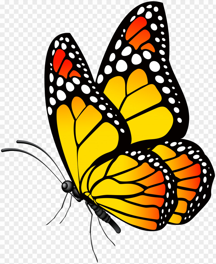 Butterfly Yellow Clip Art Image PNG