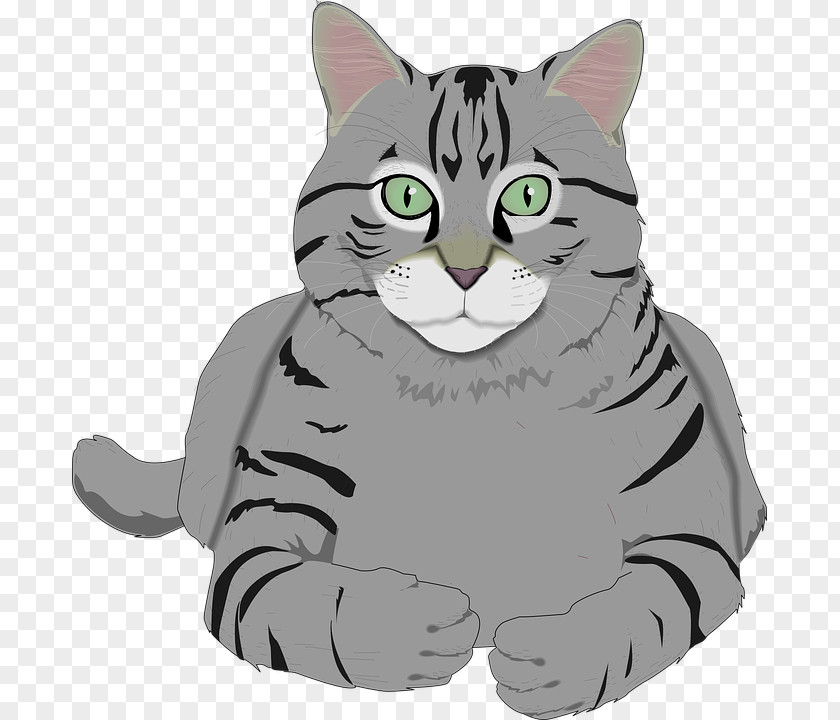 Cat Grey Clip Art PNG