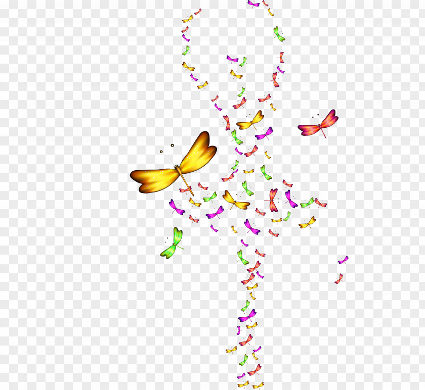 Color Dragonfly Dance Pattern PNG