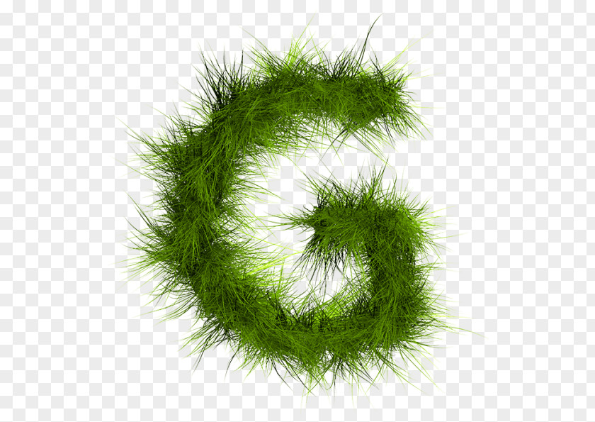 Real Grass Letter Alphabet Green Font PNG