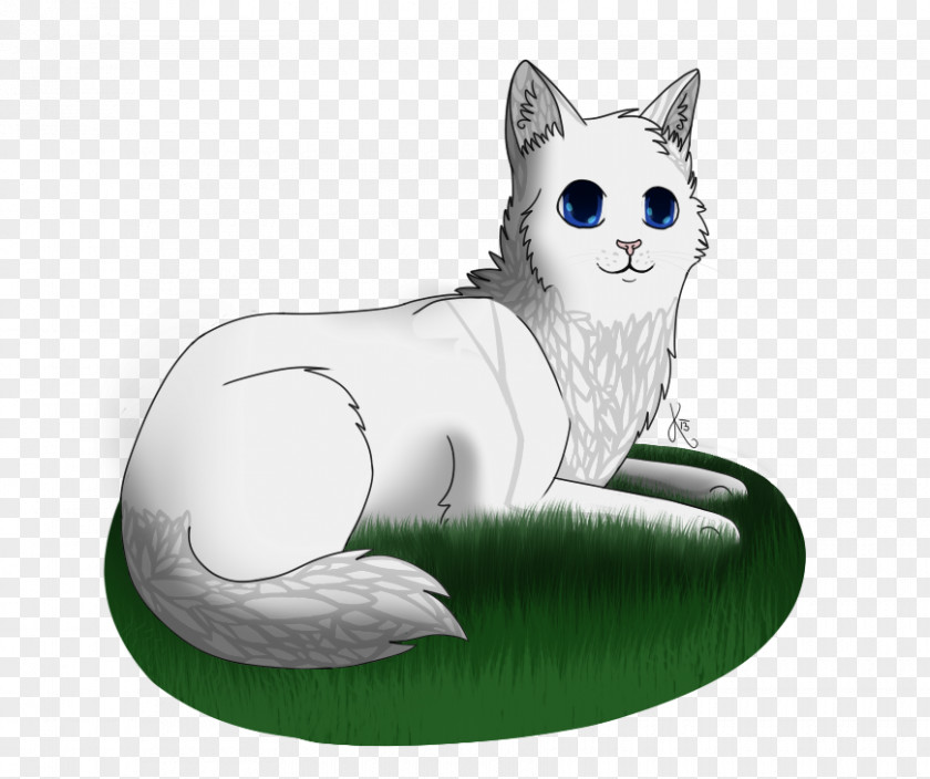 Cat Whiskers Cloudtail Brightheart Warriors PNG