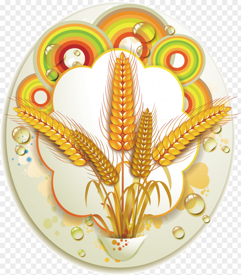 Ears Of Corn Label Common Wheat Ear Clip Art PNG