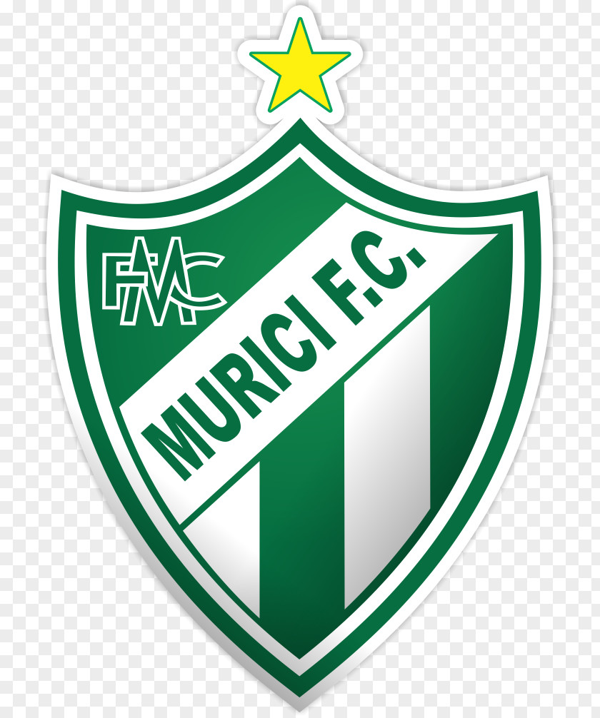 Football Clube Atlético Mineiro Campeonato Brasileiro Série A Murici Futebol América Minas Gerais PNG