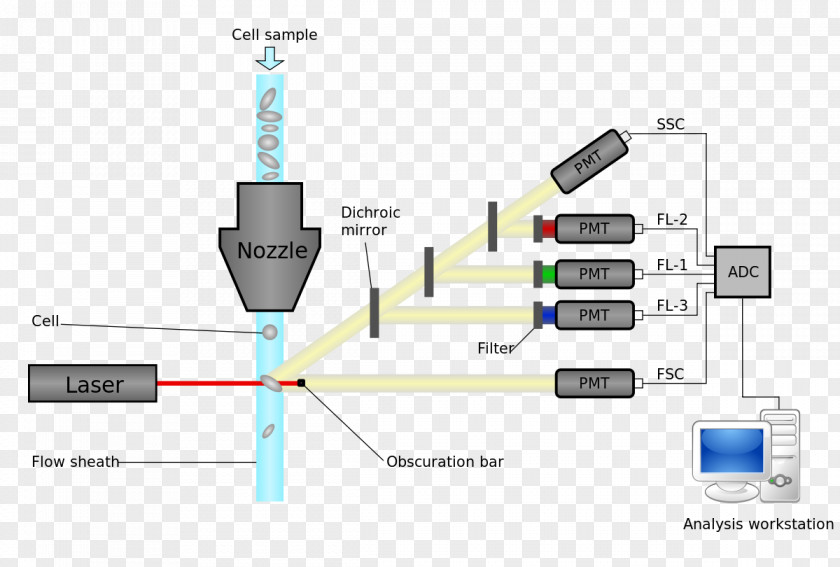 Laser Flow Cytometry Hydrodynamic Focusing Cell Diagram PNG