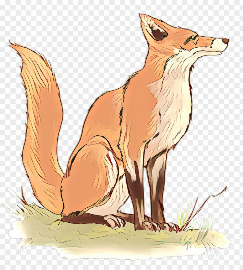 Red Fox Illustration Fauna Cartoon News PNG