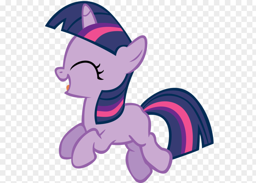 Twilight Sparkle Pony Derpy Hooves Rainbow Dash Applejack PNG