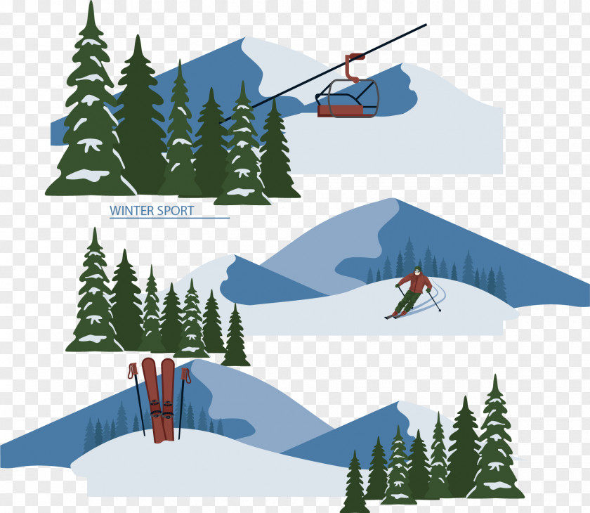 Vector Alpine Skiing PNG