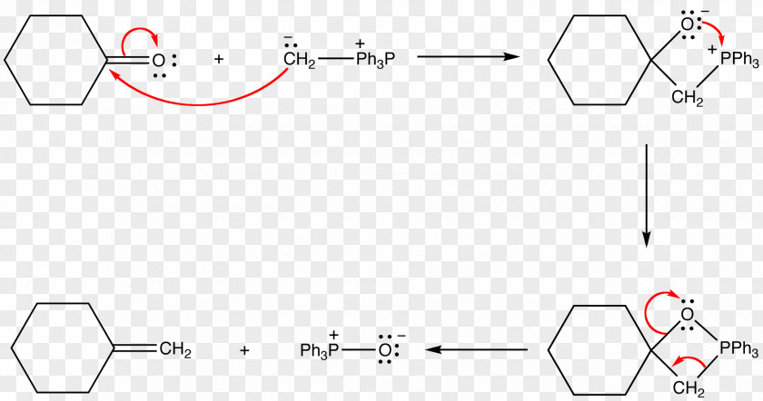 Biochemical Vietnamese Wikipedia Wikimedia Commons /m/02csf Foundation PNG