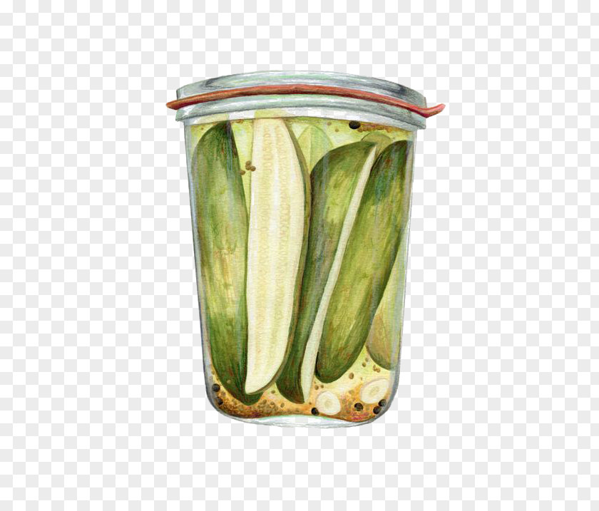 Jar Of Vegetables Mixed Pickle Pickled Cucumber Food Painting Illustration PNG