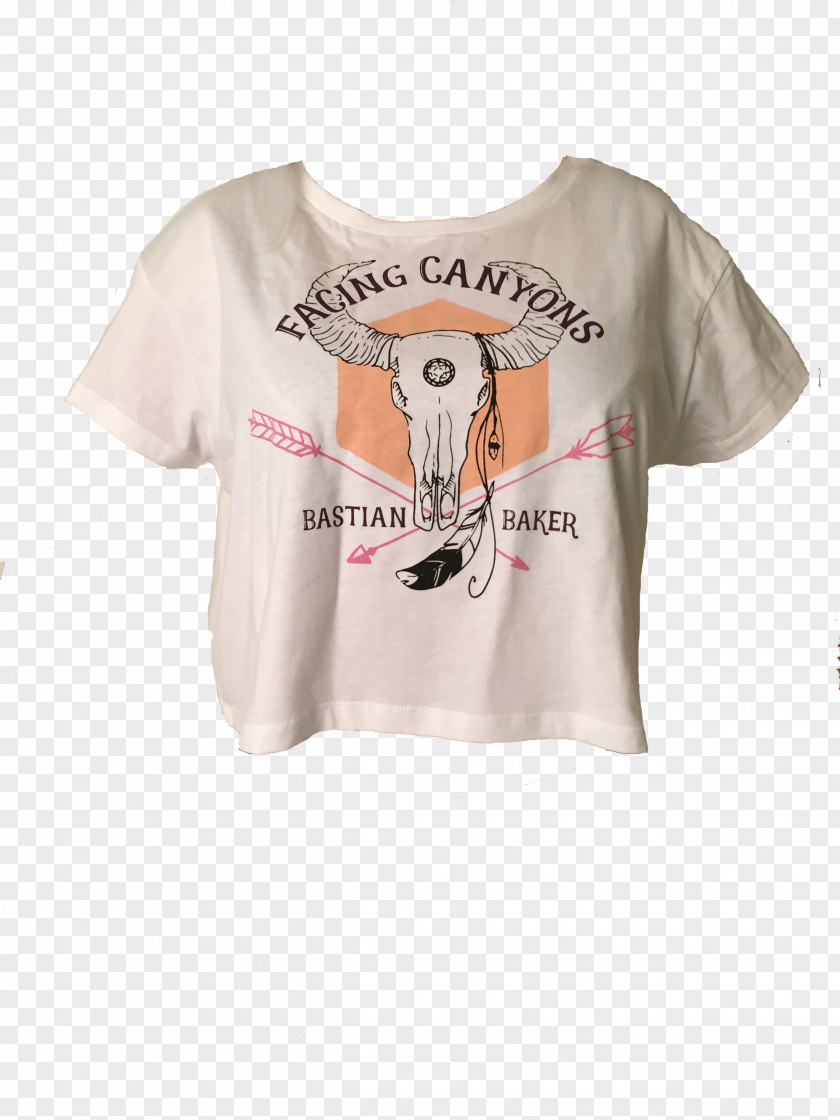 T-shirt FACING CANYONS Japan Edition Follow The Wind Crop Top PNG