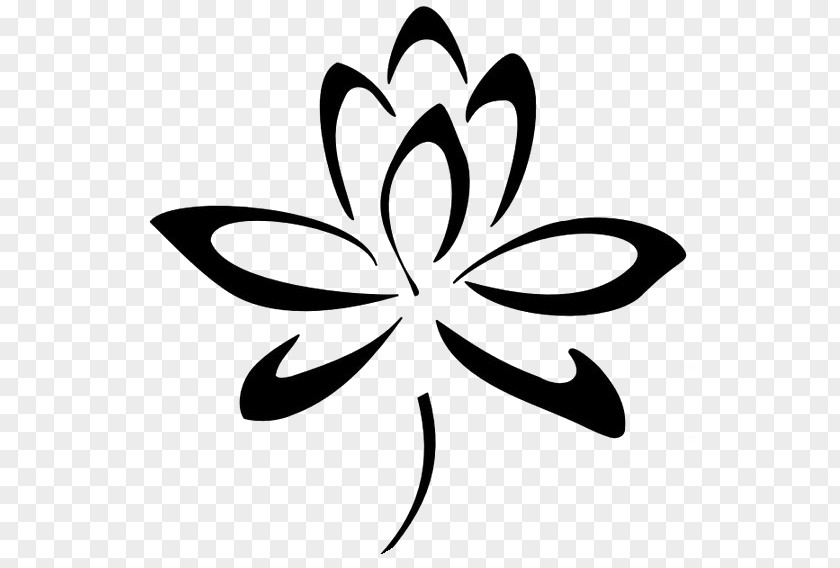 Black Lotus Floral Design Drawing Flower Sketch PNG