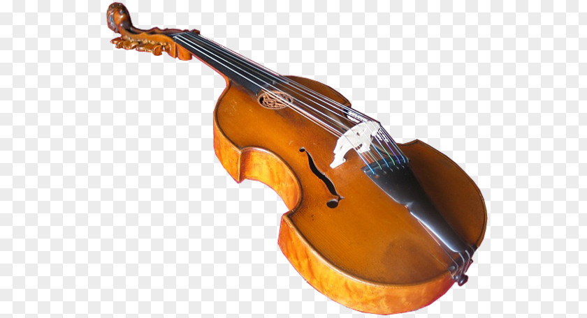 Musical Instruments String Double Bass Clef Viola PNG