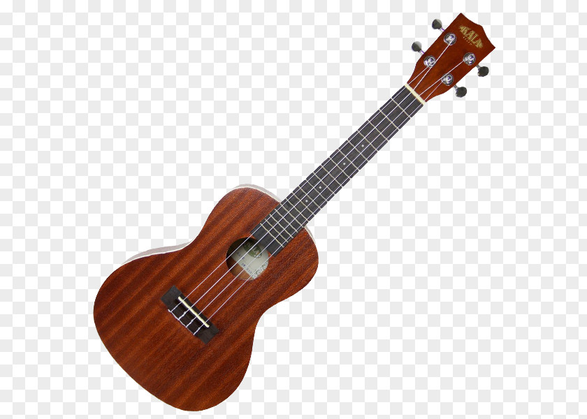 Acoustic Guitar Cort Guitars Musical Instruments Ukulele PNG