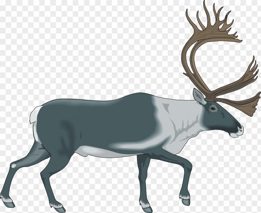 Deer Reindeer Elk Royalty-free Clip Art PNG