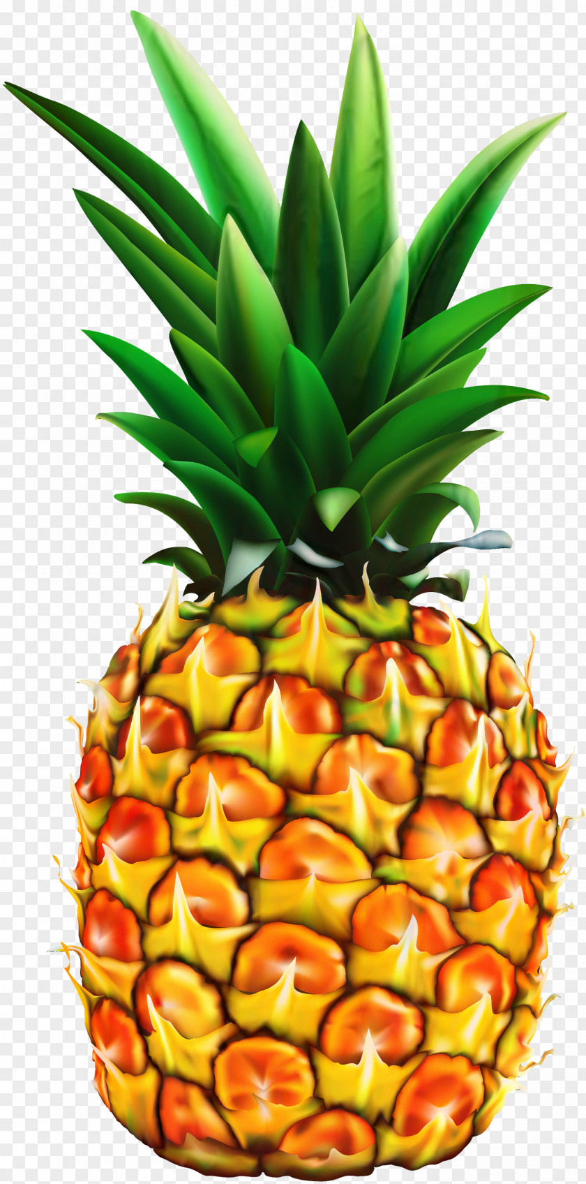 Pineapple Food PNG
