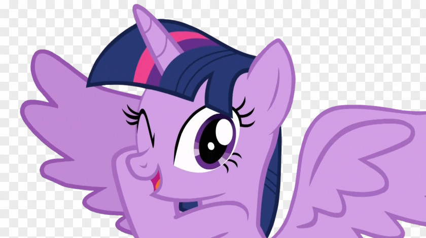 Sparkle Twilight Pinkie Pie Rainbow Dash YouTube PNG