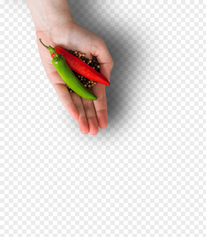 Spice Packaging Cases Chili Pepper Spicentice Nail Family PNG