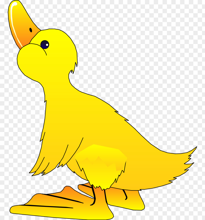 Free Mascot Clipart Duck Content Clip Art PNG