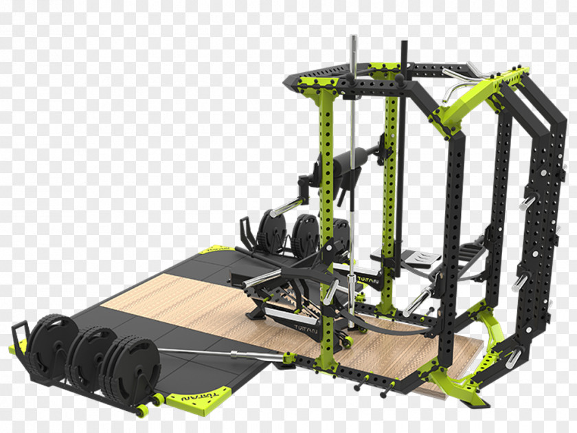 Hamstring Curls Pool Titan Equipment Exercise Physical Fitness Centre PNG
