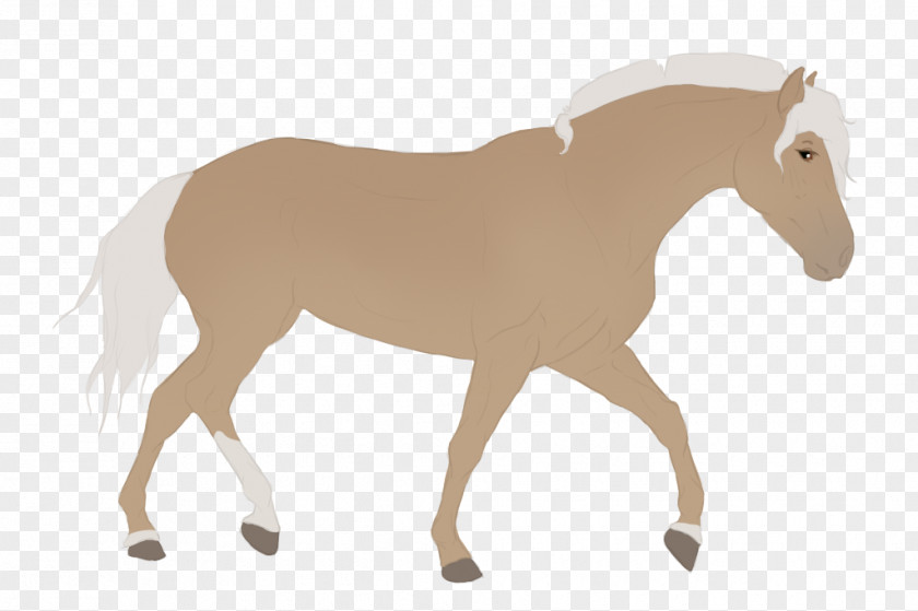 Hey Arnold Mustang Foal Stallion Mare Colt PNG