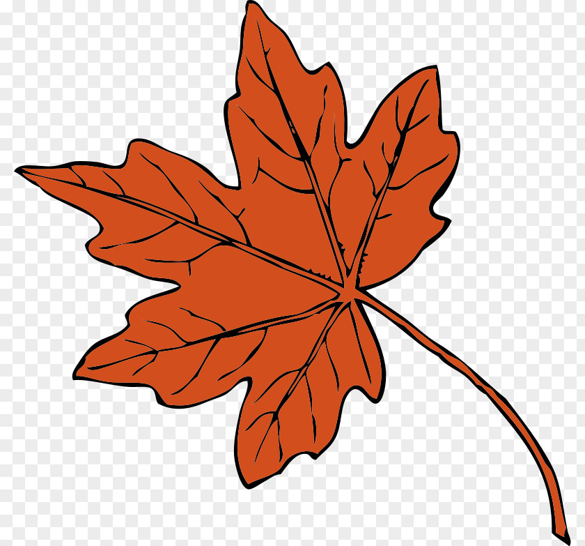 Maple Leaf Silhouette Clip Art PNG