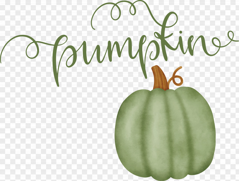 Pumpkin PNG