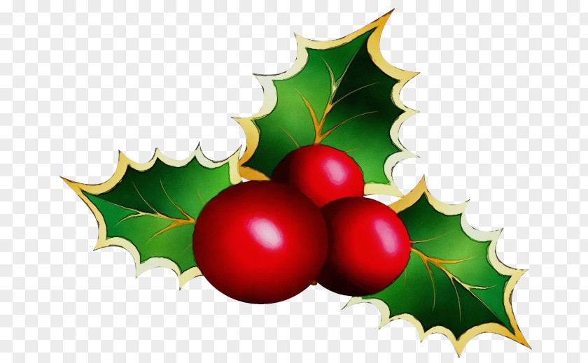 Currant Fruit Christmas Tree Watercolor PNG