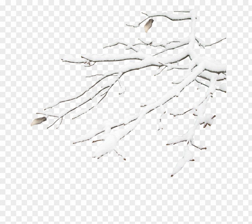 Snow Branch Decoration White Pattern PNG