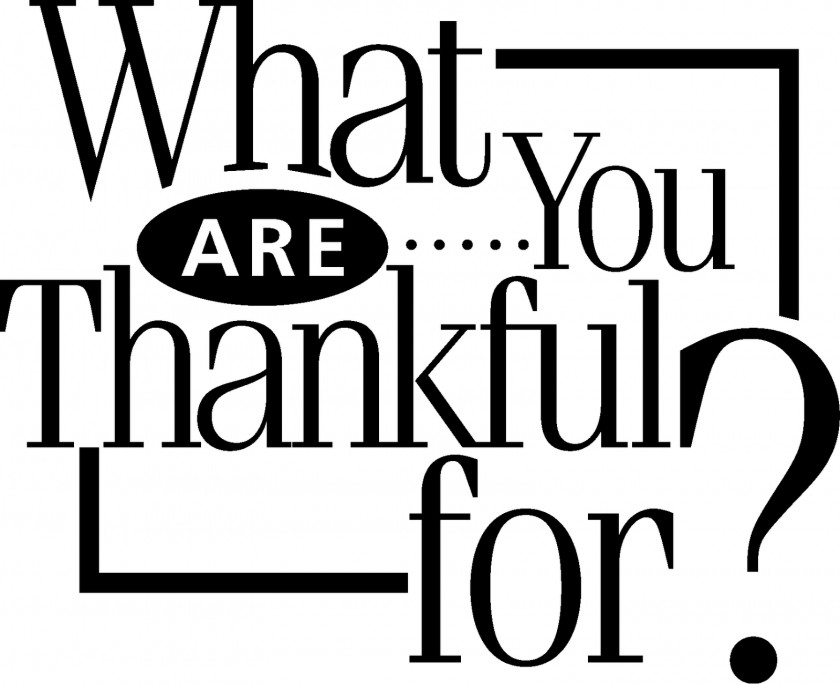 Bee Thankful Cliparts Gratitude Thanksgiving Love Happiness Thought PNG