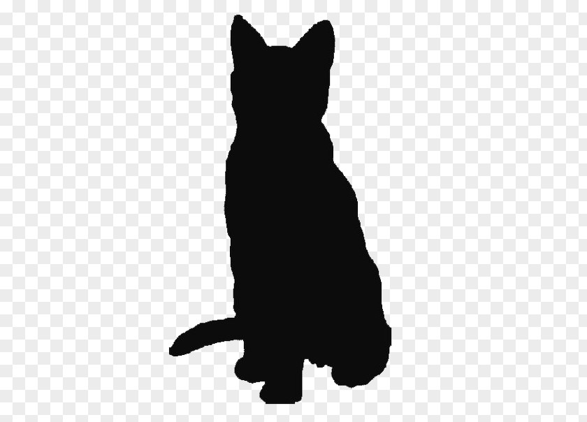 Blackandwhite Snout Cat Silhouette PNG