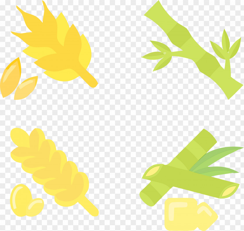 Flower Leaf Plant Stem Petal Tree PNG