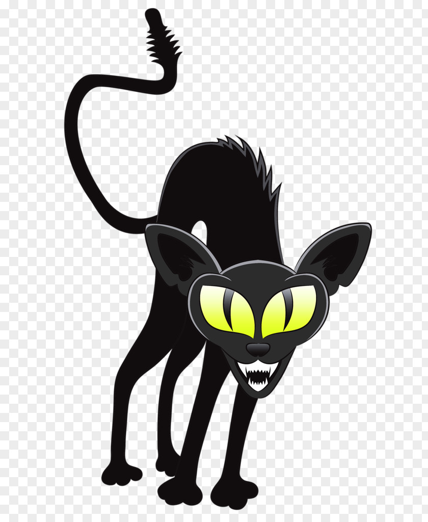 Halloween Black Cat Whiskers Witch PNG