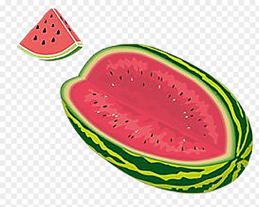 Plant Fruit Watermelon Cartoon PNG