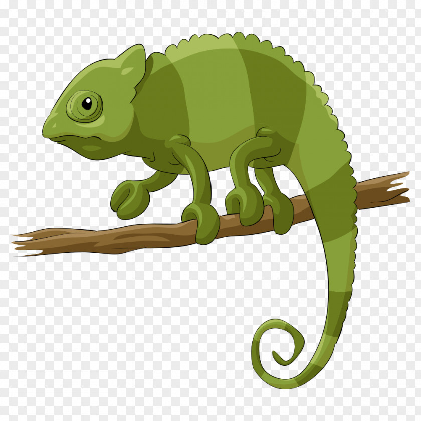 Vector Green Lizard Chameleons Reptile Cartoon PNG
