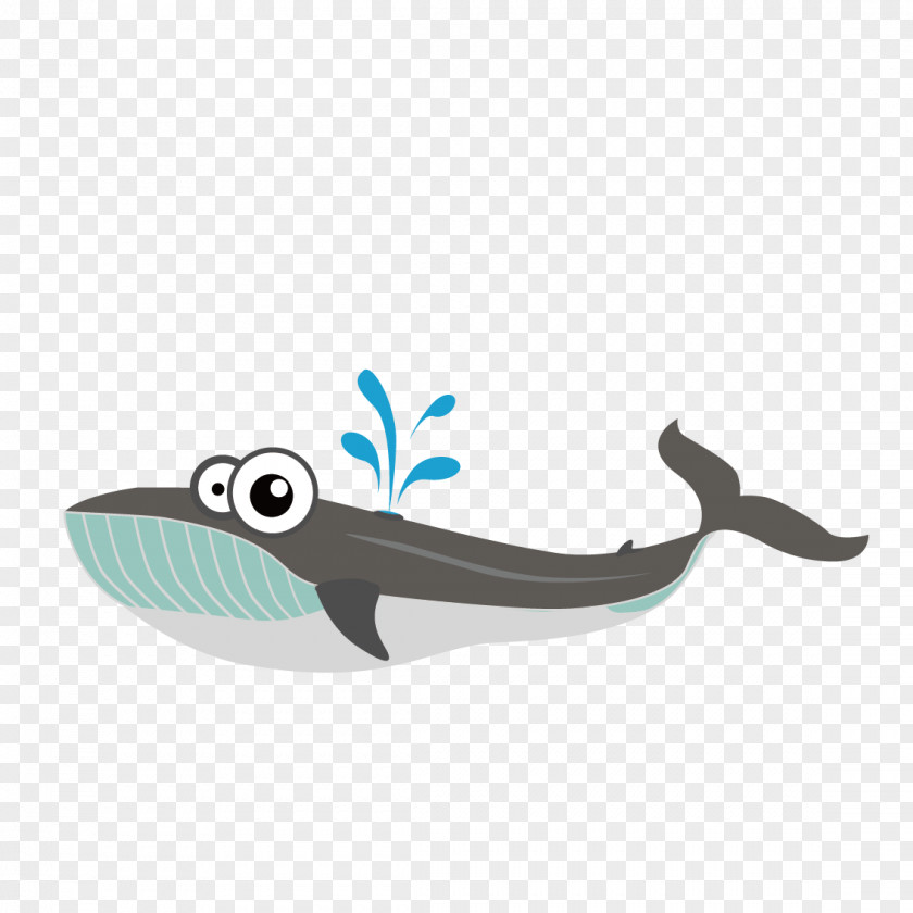 Vector Whale Cartoon Drawing Animal Clip Art PNG