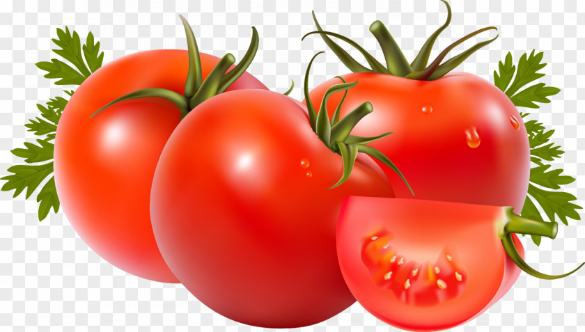 Vegetable Tomato Soup Juice Roma Can PNG