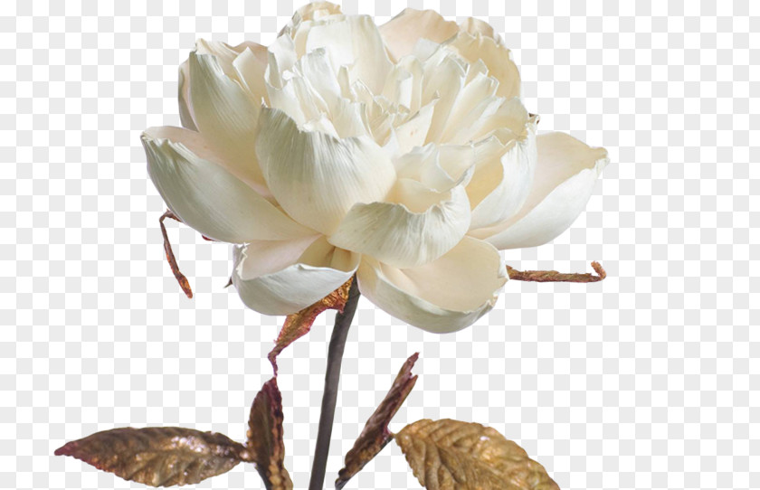 White Flower Paper Cut Flowers Tierra D'ete Artificial PNG