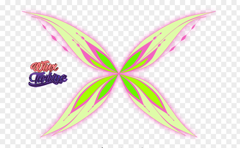 Fairy Sirenix Winx Club Türkiye Wing Game PNG